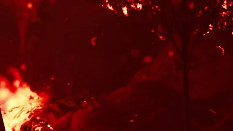 Fire burning in forest during night with embers and smoke rising into air Stock Footage 340028331