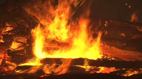 Fire burning forest Stock Footage 711504