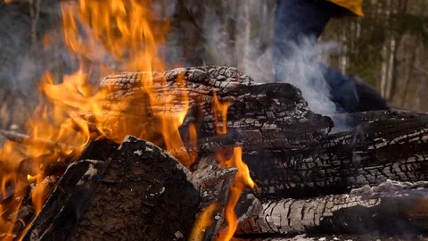 A fire is burning in the forest Stock Footage 127702468