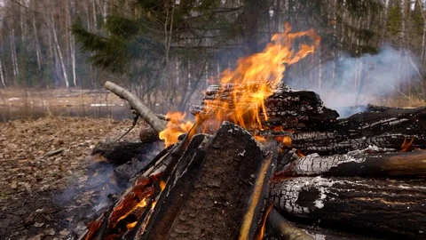 A fire is burning in the forest Stock Footage 128366631