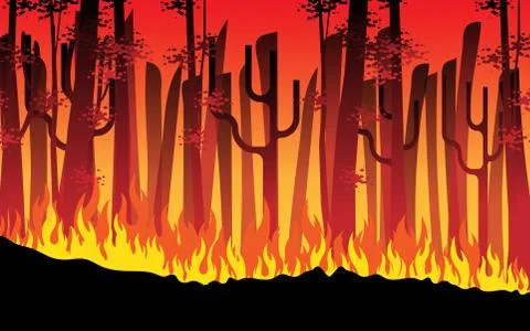 Fire is burning in the forest in the night Stock Illustration