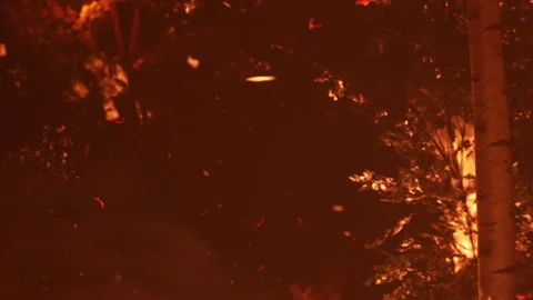 Fire burning in forest with orange glow and flying embers at night Stock Footage 337871564