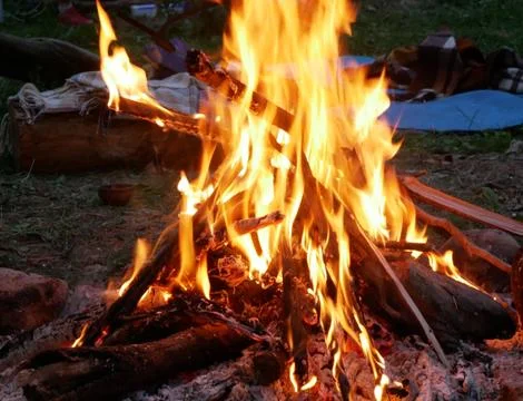 Fire is burning in the forest Stock Photos