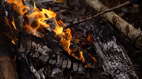 A fire is burning in the forest.Fire and red-hot coals of yellow and red color Stock Footage 128367066