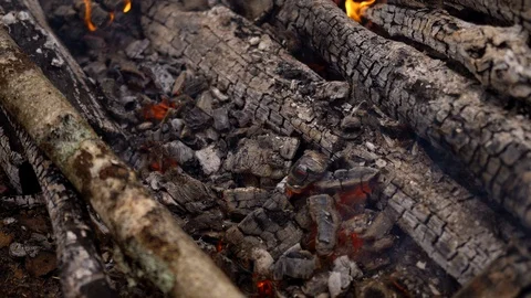 Fire is burning in the forest.Fire and red-hot coals of yellow and red color. Stock Footage 128367298