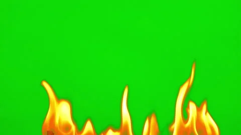 Fire burning fuel on red yellow bright on green  background on slow motion video Stock Footage 226803734