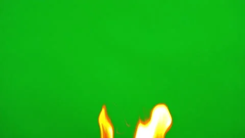 Fire burning fuel on red yellow bright on green  background on slow motion video Video stock 226804690