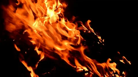 Fire burning  on garbage close up Stock Footage 108775955