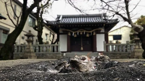 A Fire for Burning Good Luck Charms in Japan. Stock Footage 230059417