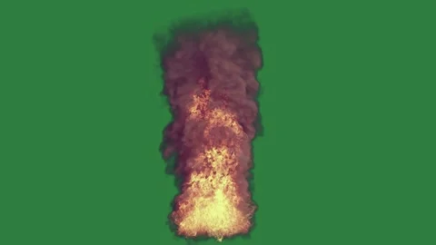 Fire Burning On Green Screen Chroma Key Background Vidéo 338015627
