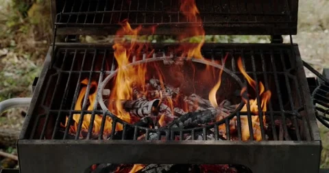 The fire is burning in the grill Stock Footage 227001269
