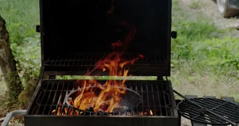 The fire is burning in the grill Stock Footage 227001569