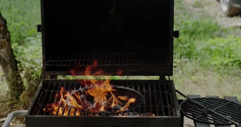 The fire is burning in the grill Stock Footage 227002482