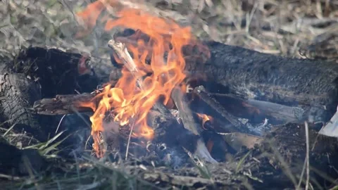 The fire is burning. Hand throws grass Stock Footage 132754014
