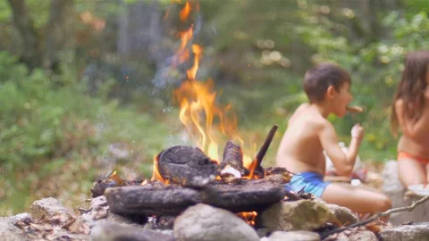 Fire burning high in a stove. Open grill. Picnic Stock Footage 113058210