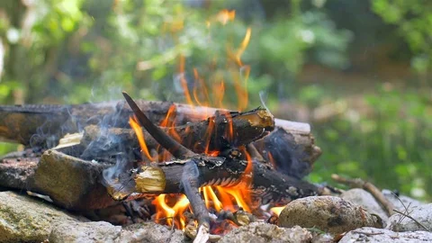 Fire burning high in a stove. Open grill. Picnic Stock Footage 113058710