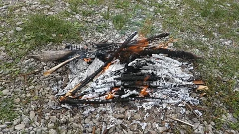 Fire burning in hot embers Stock Footage 130905301