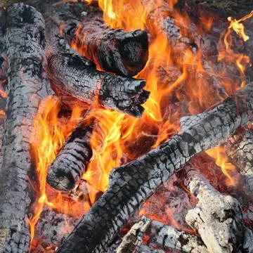 Fire, burning logs Stock Photos
