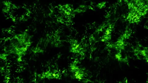 Fire burning loop effect animation Stock Footage 262287393