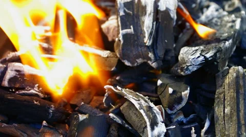 Fire burning loop Stock Footage 6532019