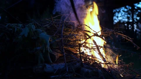 The fire is burning up. a man's hand puts branches on the fire. gatherings on a Stock Footage 170822897