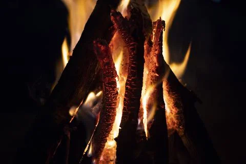 The fire is burning in nature. Stock Photos