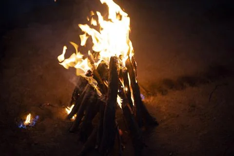 The fire is burning in nature. Stock Photos