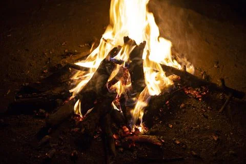 The fire is burning in nature. Stock Photos