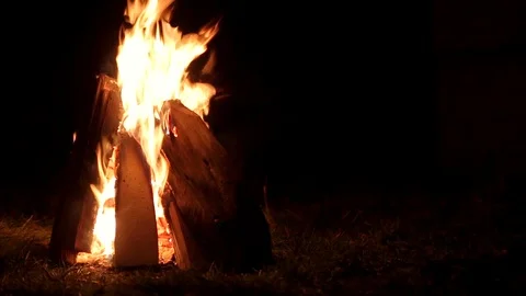 Fire burning at night, campfire on dark autumn night warmth Stock Footage 88903807
