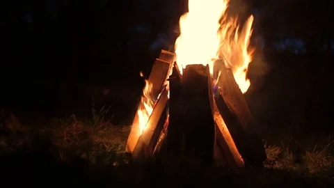 Fire burning at night, campfire on dark autumn night warmth Stock Footage 89210578