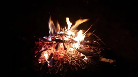 A fire burning in the night Stock-Footage 61771533