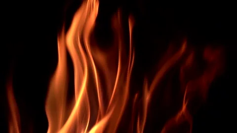 Fire burning in night on isolated black background. Loopable. Slow motion. Stock Footage 251426712
