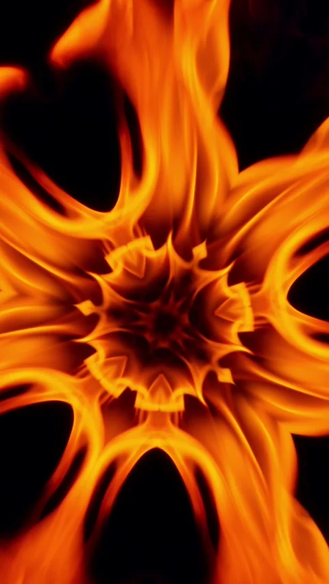 Fire burning ornamental rosette pattern Video stock 260570010