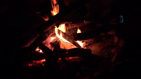 A fire is burning. People make marshmallows. 動画素材 148461911