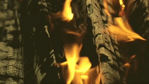Fire burning process close up. Stock Footage 100869042