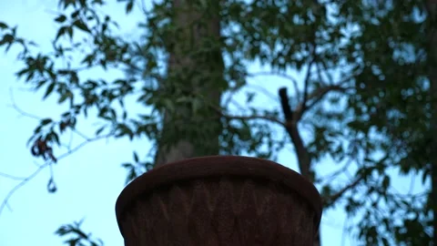 Fire Burning in red clay Chiminea Fireplace Video stock 130976527