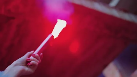 The fire is burning. red flame Stock Footage 302544781