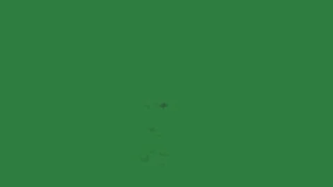 Fire is burning on the shadow of tree in middle red object isolated on green Stock Footage 336954179