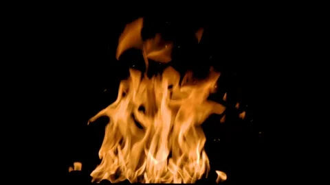 Fire Burning Slow Motion with Embers on Black Background Stock-Footage 104221935