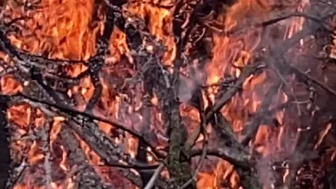 Fire burning slow motion flames tight shot Video stock 301319684