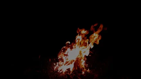 Fire burning in slow motion Stock Footage 111490601