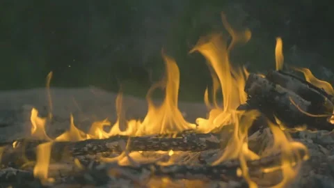 Fire burning slowly Stock Footage 318032543