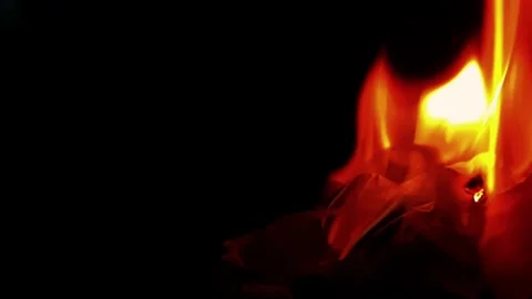 Fire burning stock video background Stock Footage 282069371