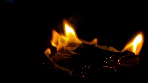 Fire burning stock video background Stock Footage 282069518