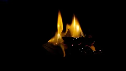 Fire burning stock video background Stock Footage 282069609