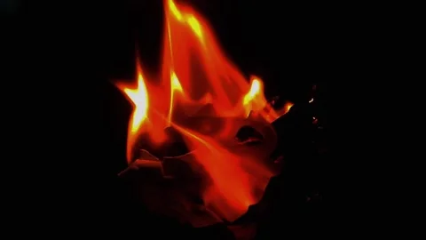 Fire burning stock video background Stock Footage 282069901