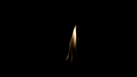 Fire burning stock video background Stock Footage 282945693