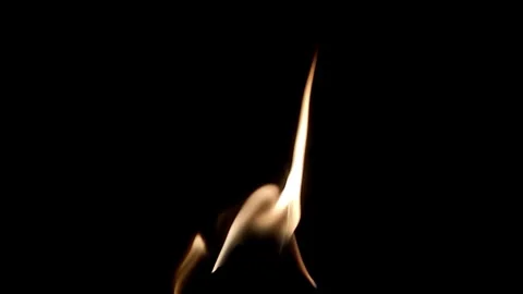 Fire burning stock video background Stock Footage 282945752