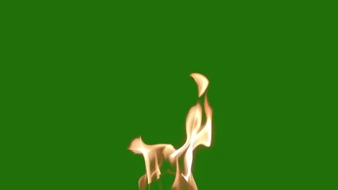 Fire burning stock video background Stock Footage 282945845