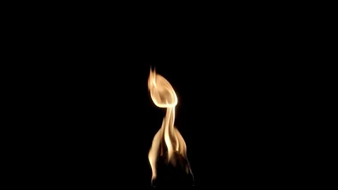 Fire burning stock video background Stock Footage 282945847